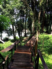 Footbridge amidst trees