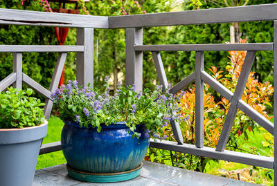 Terrace area with a gray railing and a blue flower pot