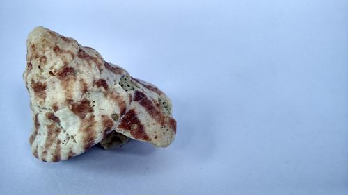 Close-up of food against white background