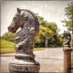 Close-up of statue