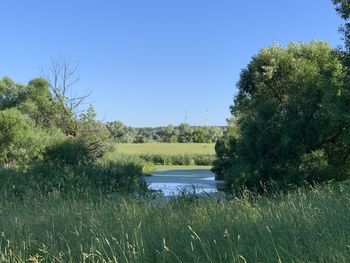 Scenic view of lake against clear sky