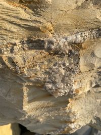rock