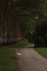 View of trees in park