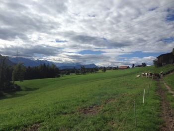 Scenic view of field against sky