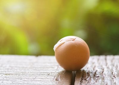 Close-up of egg on table