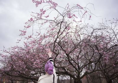 Low section of woman with pink cherry blossoms against sky