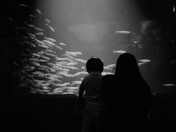 Rear view of silhouette friends standing in aquarium