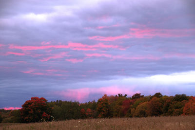 View of trees against cloudy sky during autumn