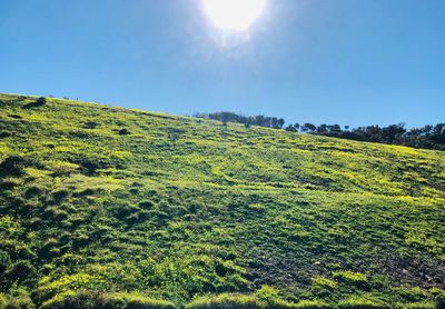 Scenic view of landscape against sky on sunny day