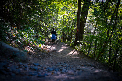 Rear view of man walking on footpath in forest