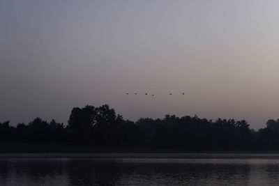 Birds flying over lake against sky