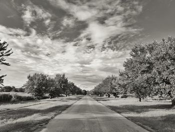 Road amidst trees against sky