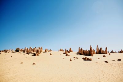 Panoramic view of people on beach against clear blue sky