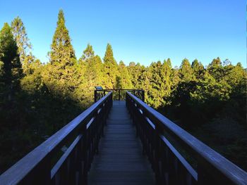 Footbridge amidst trees in forest against clear sky