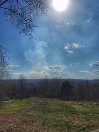 Scenic view of forest against sky