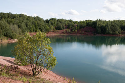 Scenic view of lake in forest against sky