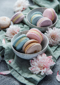 Beautiful colorful tasty macaroons and white flowers on a concrete background