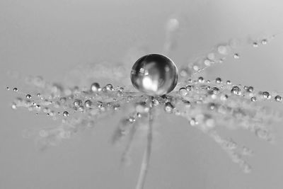 Close-up of water drops on bubbles