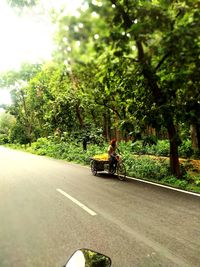 transportation