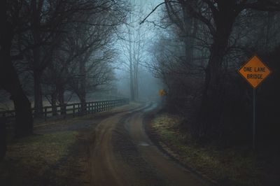 Empty road along bare trees