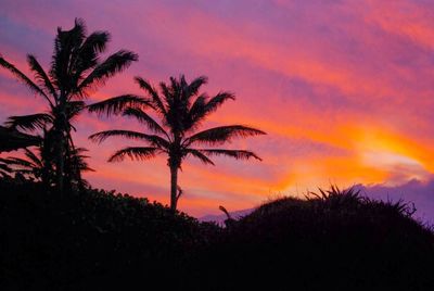 Silhouette palm trees against sky during sunset
