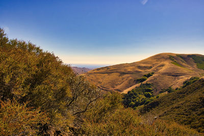 Scenic view of landscape against clear sky