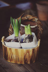 Close-up of spring onion bulbs in wooden basket on floor