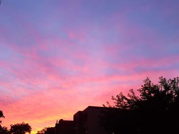 Low angle view of silhouette trees against sky at sunset