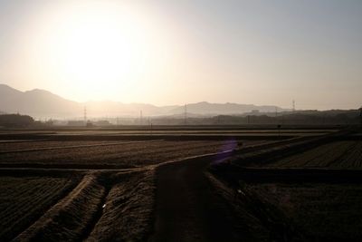 Road passing through field