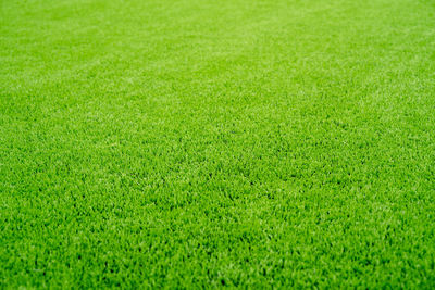 Full frame shot of soccer field