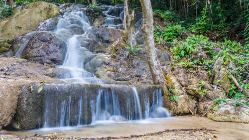 View of waterfall in forest