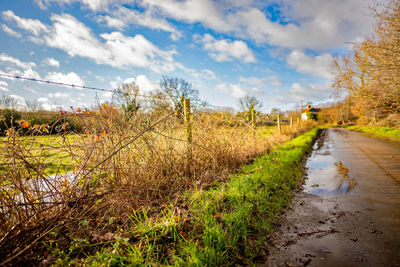 Road amidst field against sky