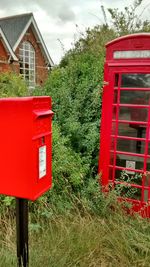 Plants growing on grassy field