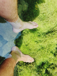 Low section of person legs on grass