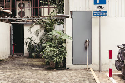 Potted plants growing by closed door of building