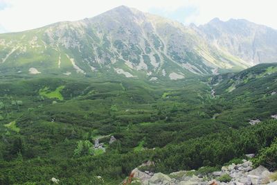 Scenic view of mountains