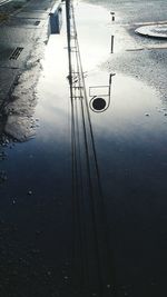 Reflection of trees in water