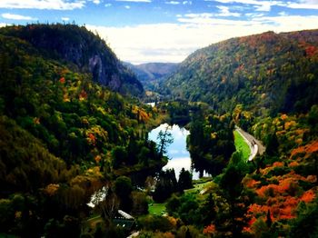 View of trees in mountains