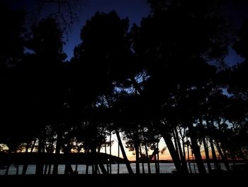 Low angle view of silhouette trees against sky at night