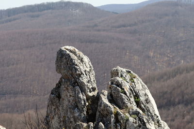 Rock formation on landscape