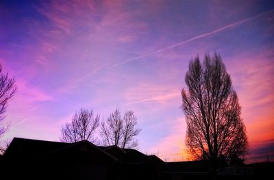 Low angle view of silhouette tree against sky