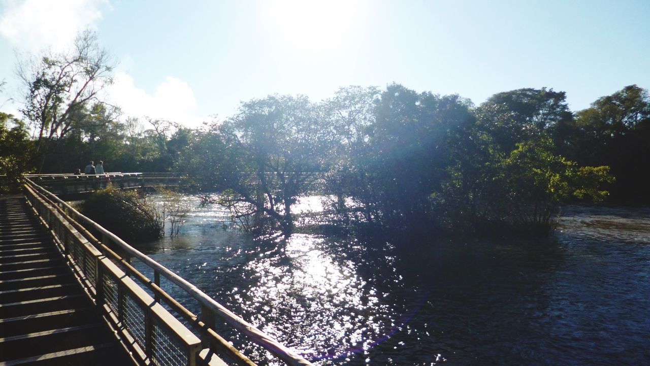 tree, railing, water, swimming pool, day, sunlight, outdoors, sky, real people, nature, water slide, water park