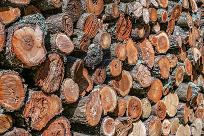 Stack of wood logs for fire