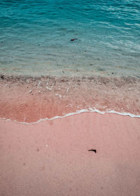High angle view of birds on beach