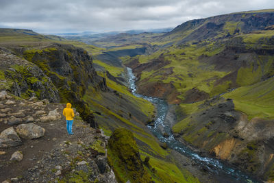 Rear view of man looking at mountains