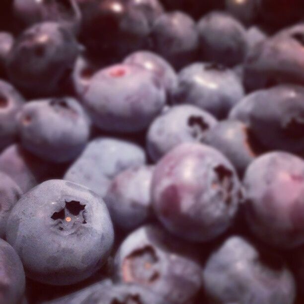 Wildmaineblueberries