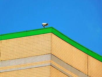 Low angle view of bird on building against clear blue sky