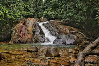 View of waterfall in forest