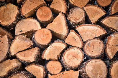 Full frame shot of logs in forest