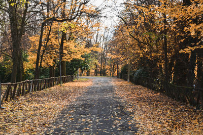 Road amidst trees during autumn